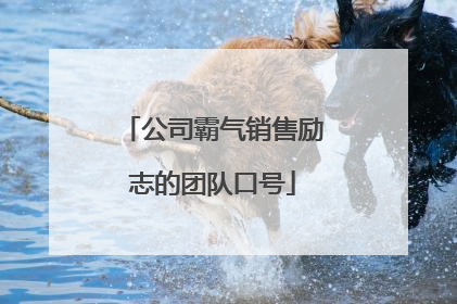 公司霸气销售励志的团队口号