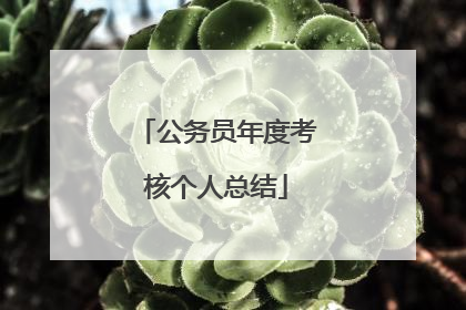 公务员年度考核个人总结