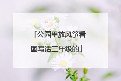 公园里放风筝看图写话三年级的