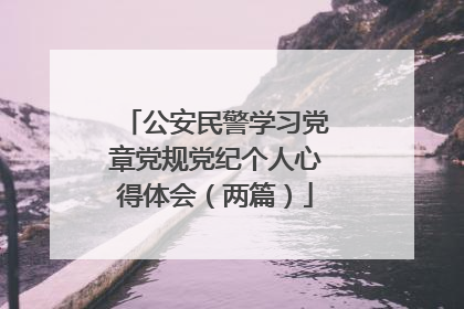 公安民警学习党章党规党纪个人心得体会（两篇）