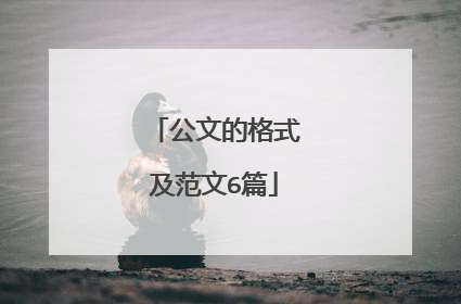 公文的格式及范文6篇