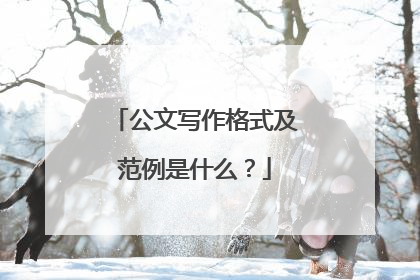 公文写作格式及范例是什么？