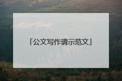 公文写作请示范文
