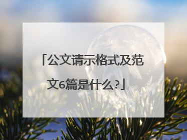 公文请示格式及范文6篇是什么?