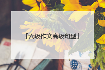 六级作文高级句型