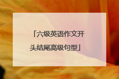 六级英语作文开头结尾高级句型