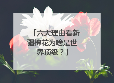六大理由看新疆棉花为啥是世界顶级？