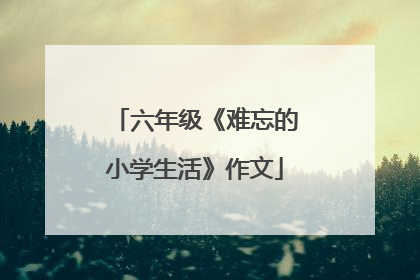 六年级《难忘的小学生活》作文