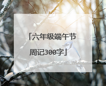 六年级端午节周记300字