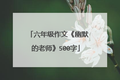 六年级作文《幽默的老师》500字