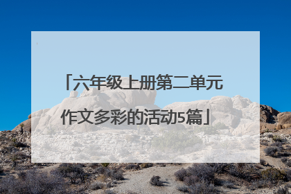 六年级上册第二单元作文多彩的活动5篇