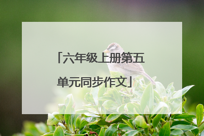 六年级上册第五单元同步作文