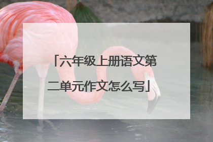 六年级上册语文第二单元作文怎么写
