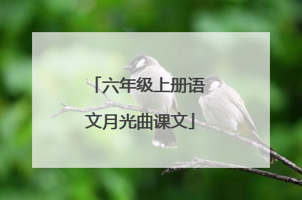 六年级上册语文月光曲课文
