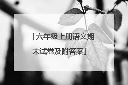 六年级上册语文期末试卷及附答案