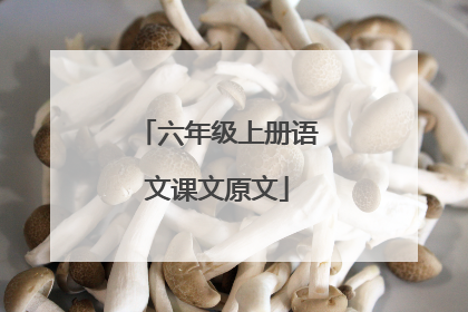 六年级上册语文课文原文