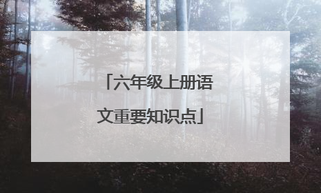 六年级上册语文重要知识点
