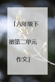 六年级下册第二单元作文