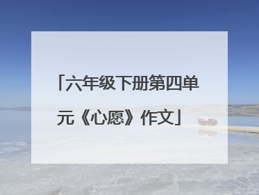 六年级下册第四单元《心愿》作文