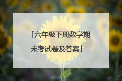 六年级下册数学期末考试卷及答案