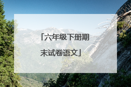 六年级下册期末试卷语文