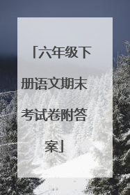 六年级下册语文期末考试卷附答案