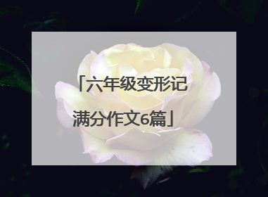 六年级变形记满分作文6篇