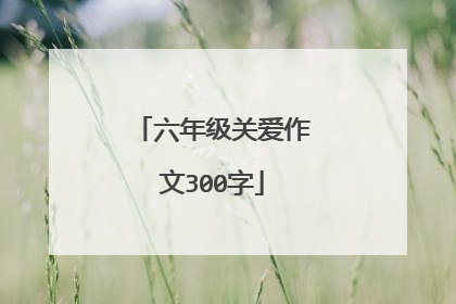六年级关爱作文300字