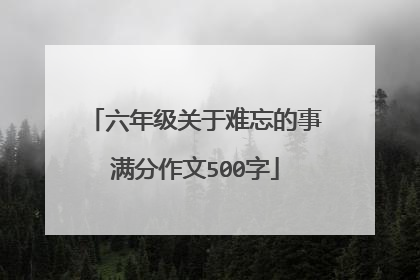 六年级关于难忘的事满分作文500字