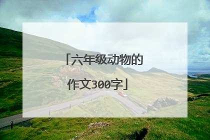 六年级动物的作文300字