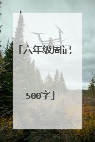 六年级周记500字