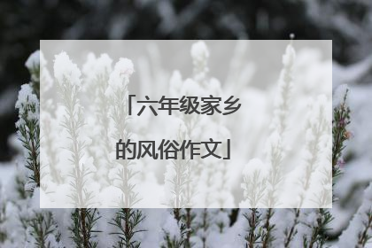 六年级家乡的风俗作文