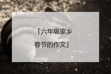 六年级家乡春节的作文