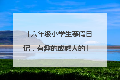 六年级小学生寒假日记，有趣的或感人的