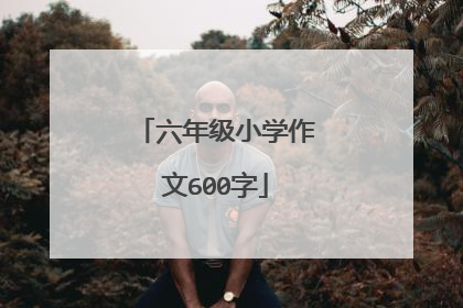 六年级小学作文600字