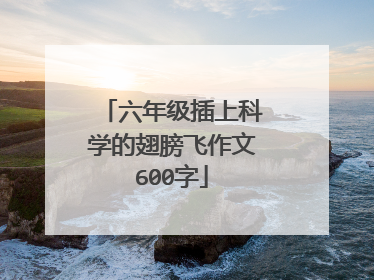 六年级插上科学的翅膀飞作文600字