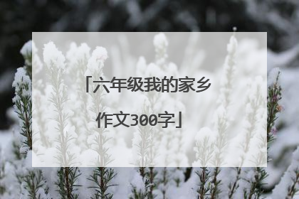 六年级我的家乡作文300字