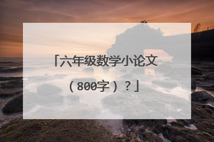 六年级数学小论文(800字)?
