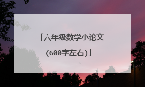 六年级数学小论文(600字左右)