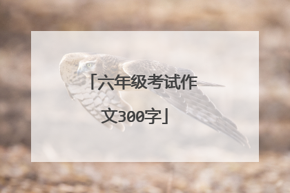 六年级考试作文300字