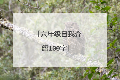 六年级自我介绍100字