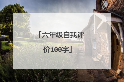 六年级自我评价100字