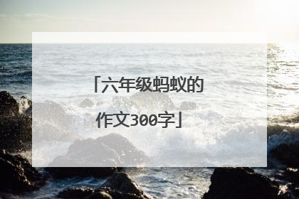 六年级蚂蚁的作文300字