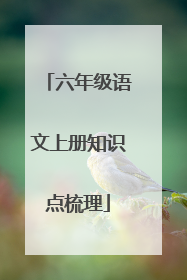 六年级语文上册知识点梳理
