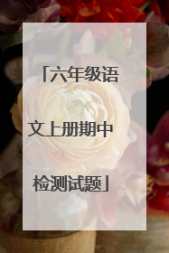 六年级语文上册期中检测试题