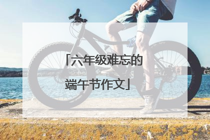 六年级难忘的端午节作文
