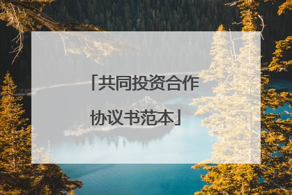共同投资合作协议书范本