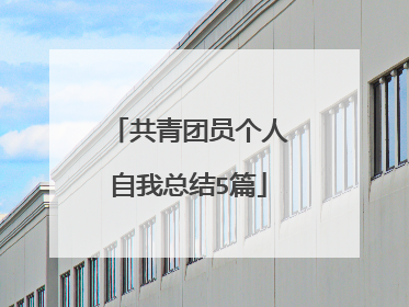 共青团员个人自我总结5篇