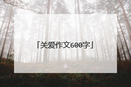 关爱作文600字