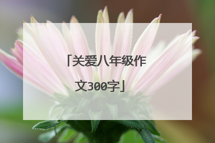 关爱八年级作文300字
